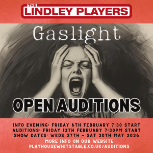 Audition announcements - instagramemailwebsite (6)