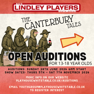 Audition announcements - instagramemailwebsite (8)